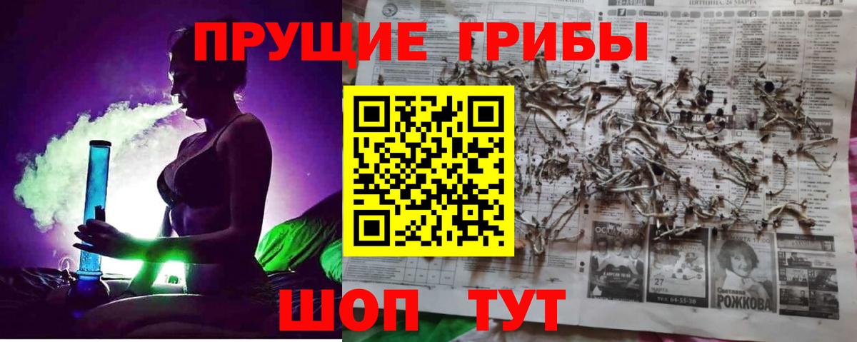 Галлюциногенные грибы Cubensis  Вход с VPN  Сертолово 