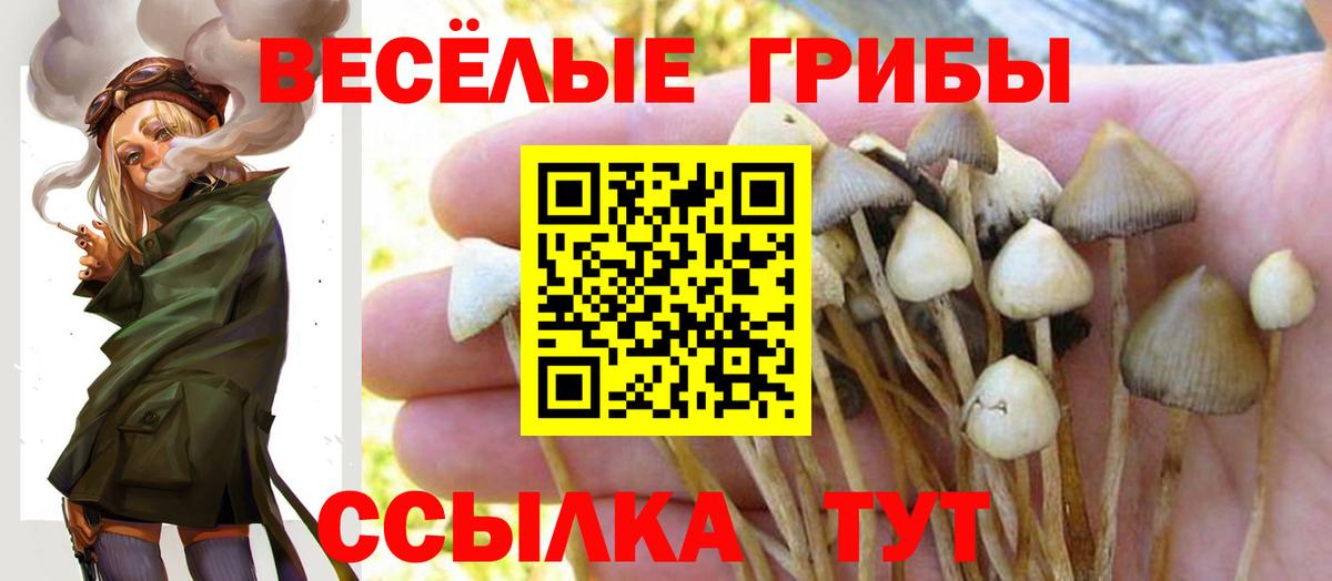 Галлюциногенные грибы мухоморы Сертолово